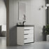 Dowell 24¡°(Single Bathroom Vanity Set- Freestanding Glossy White Vanity with Black Accents,Matte Black Resin Basin,Three Soft-Close Drawers - 024 Series