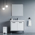 Dowell 037 Series 36" Bathroom Vanity with Single Basin Soft-Close Doors Two Shelves