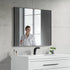 Dowell Rectangular Wall Mirror for Bath/Living Room/Hallway - Aluminum Frame - 5004 Series