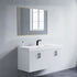Dowell Rectangular Wall Mirror for Bath/Living Room/Hallway - Aluminum Frame - 5004 Series