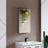 Dowell Wall-Mounted Bathroom Mirror Medicine Cabinet - Three Adjustable Glass Shelves, Aluminum - 5007 Series