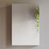 Dowell Wall-Mounted Bathroom Mirror Medicine Cabinet - Three Adjustable Glass Shelves, Aluminum - 5007 Series