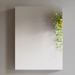 Dowell Wall-Mounted Bathroom Mirror Medicine Cabinet - Three Adjustable Glass Shelves, Aluminum - 5007 Series