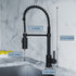 Dowell Kitchen Sink Faucet - 8002 006 Series - High Arc, Pull-Down Sprayer,  Single Handle, Single Hole